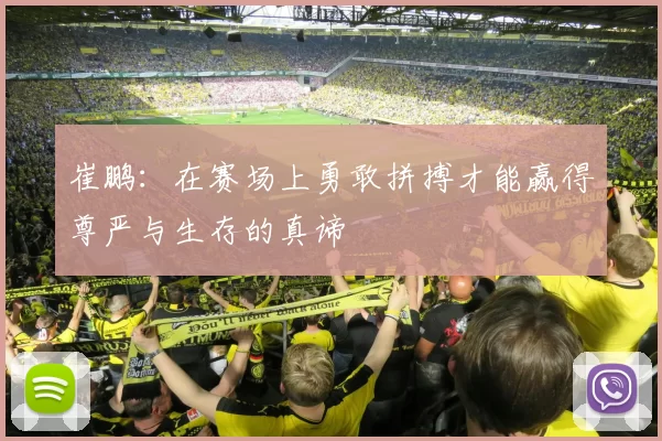 崔鹏：在赛场上勇敢拼搏才能赢得尊严与生存的真谛