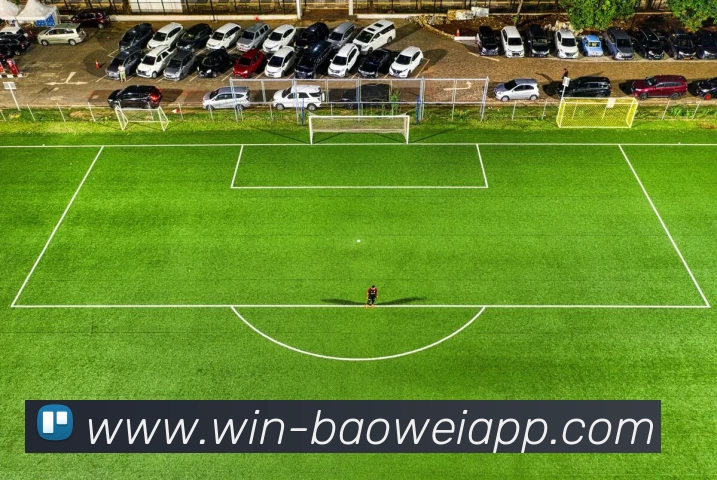 宝威体育APP 高清赛事图